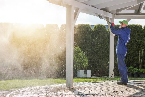 Solar Panel Cleaning in Atlanta, TX